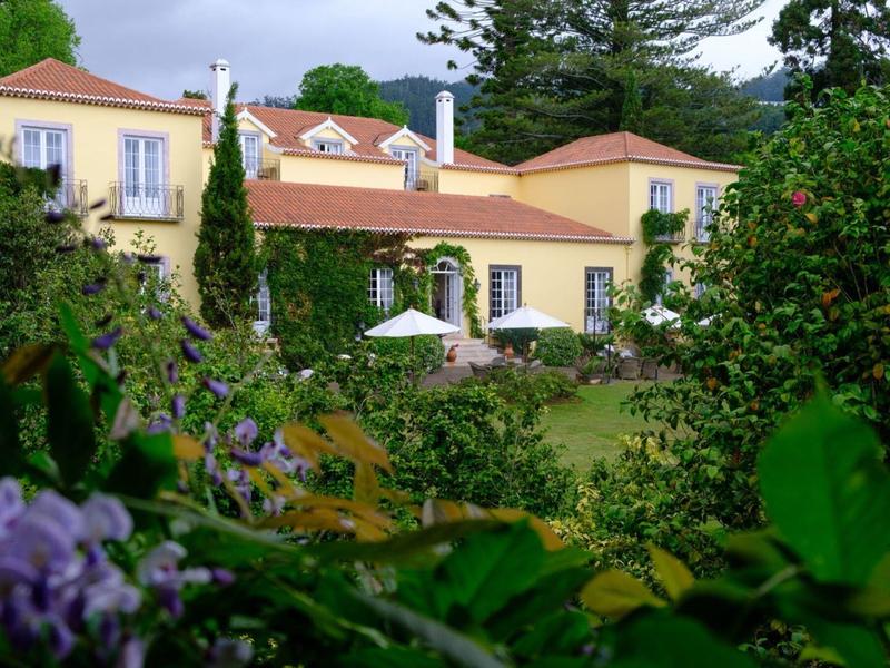 Żółty dom wiejski z ogrodem, zielonymi drzewami i fioletowymi kwiatami na pierwszym planie.