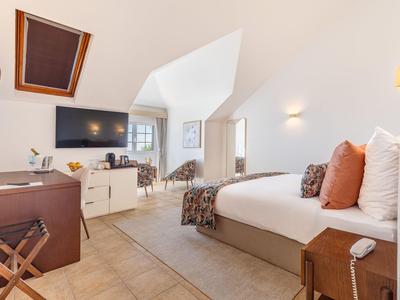 Jasny pokój hotelowy z dużym łóżkiem, telewizorem, częścią wypoczynkową i oknem dachowym.