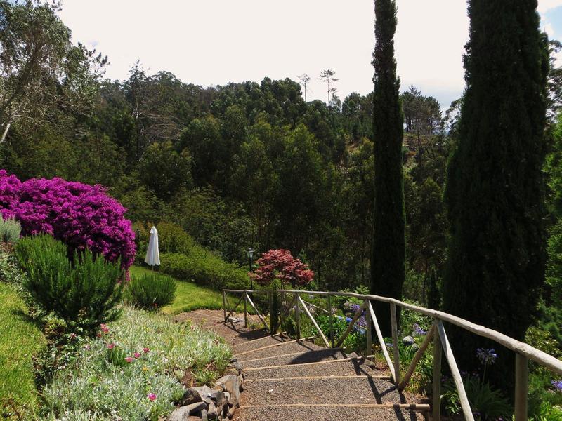 Schodiště s kovovým zábradlím v zelené zahradě s kvetoucími keři a vysokými stromy