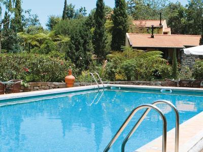 A clear swimming pool with a stainless steel ladder, surrounded by garden and trees under a blue sky.