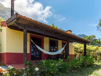 House with porch and hammock in tropical setting under sunny weather.