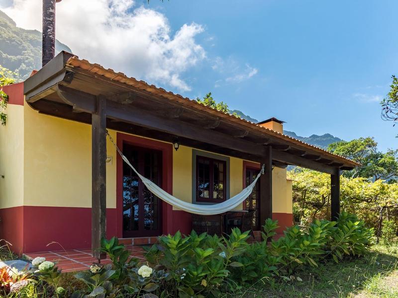 House with porch and hammock in tropical setting under sunny weather.