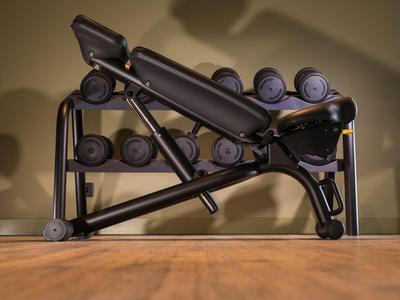 Adjustable weight bench with dumbbells on the floor against beige wall.
