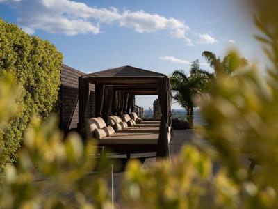 Reihe von Schaukeln mit Kissen im Garten, umgeben von grünem Laub und blauem Himmel.