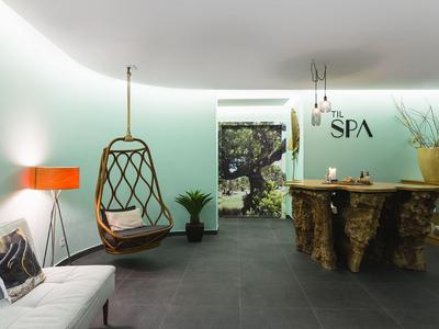 Modern spa area with hanging chair, bench, plant, and natural wood counter.