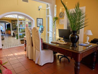 Helles Arbeitszimmer mit Holzschreibtisch, weißen Stühlen und großer Pflanze, Blick in sonnigen Flur.