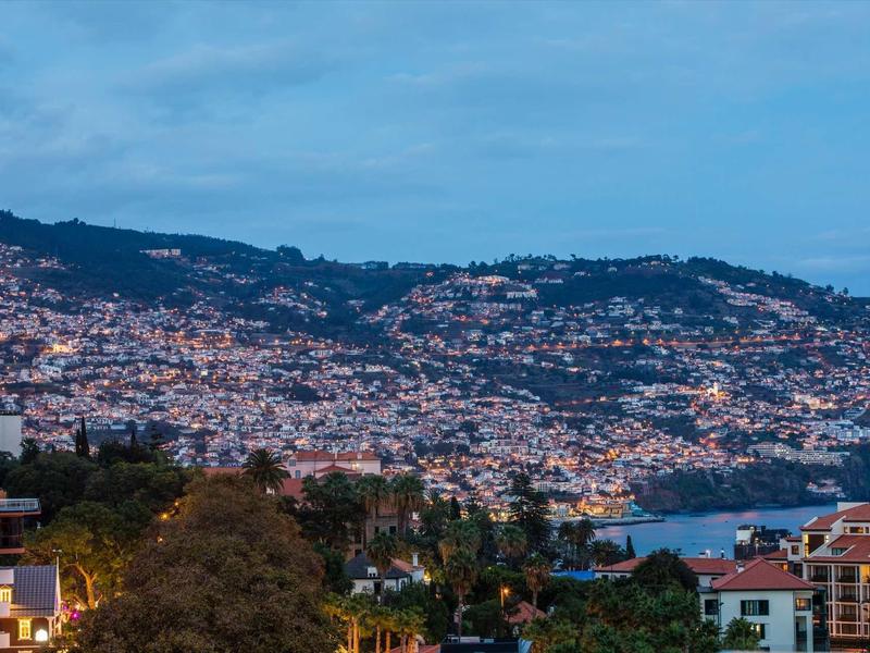 Stadslichten fonkelen op een kustheuvel bij schemering, met gebouwen en een baai zichtbaar.