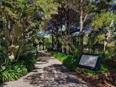 Droga obsadzona drzewami z tablicą po prawej stronie w zielonym otoczeniu.