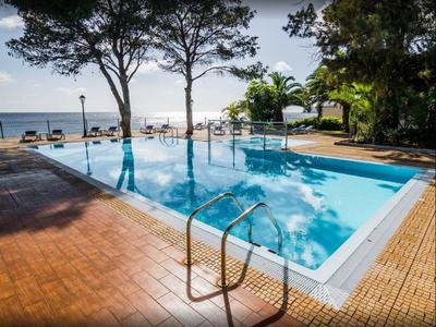 Pool with a ladder and sun loungers by the sea under trees in sunlight.