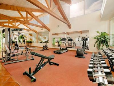 Spacious gym with workout machines and dumbbells under wooden beam ceiling.