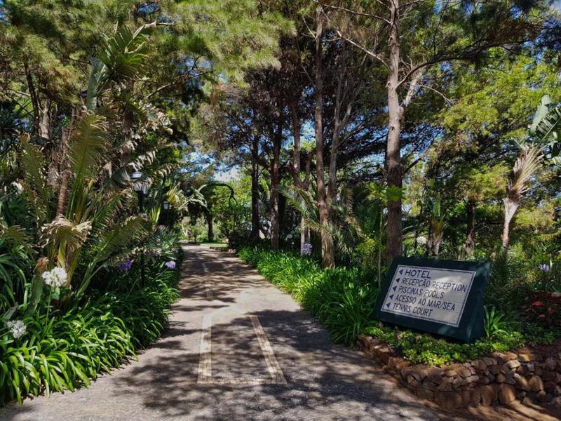 Droga obsadzona drzewami z tablicą po prawej stronie w zielonym otoczeniu.