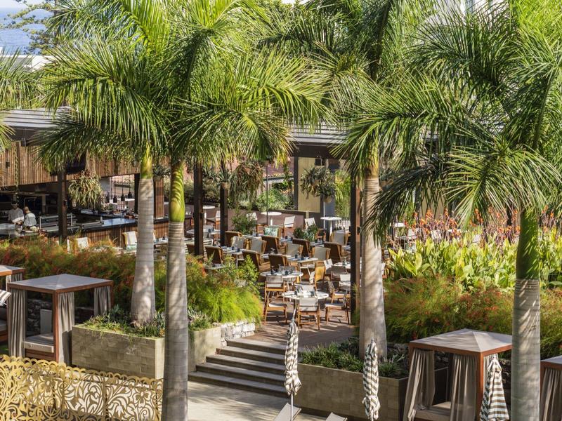 Venkovní jídelní prostor se stoly, židlemi a palmami v tropickém prostředí