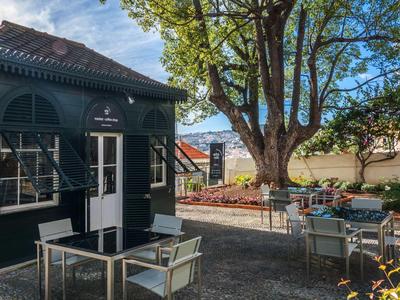 Buitenterras van een café met tafels en stoelen onder bomen op een zonnige dag.