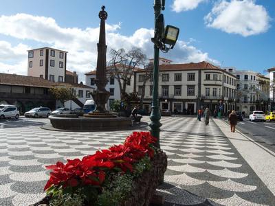 Stadsplein met fontein, rode bloemen en historische kinderkopjes onder een blauwe lucht.