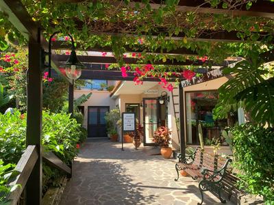 Blick auf einen schattigen, begrünten Innenhof mit Bänken, Pflanzen und einem offenen Café-Eingang.