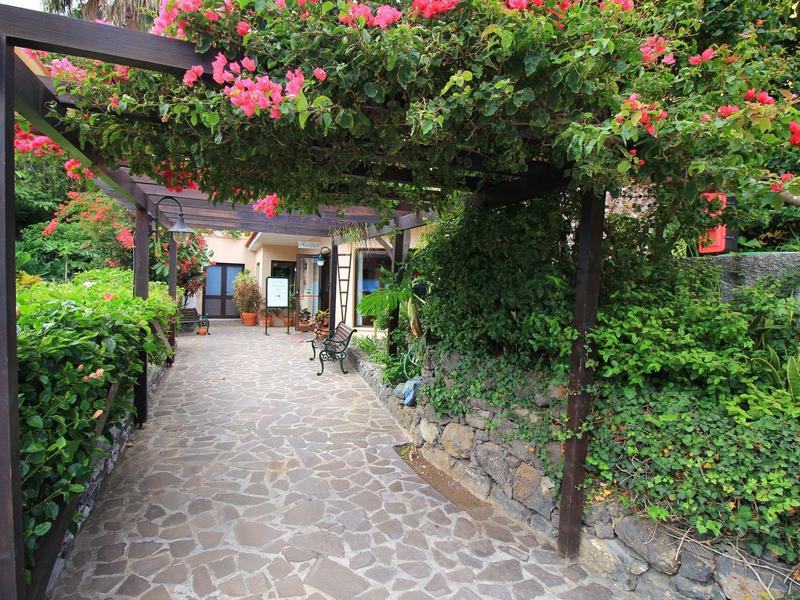 Sentiero lastricato in pietra sotto una copertura di foglie e fiori che conduce all'ingresso dell'edificio.