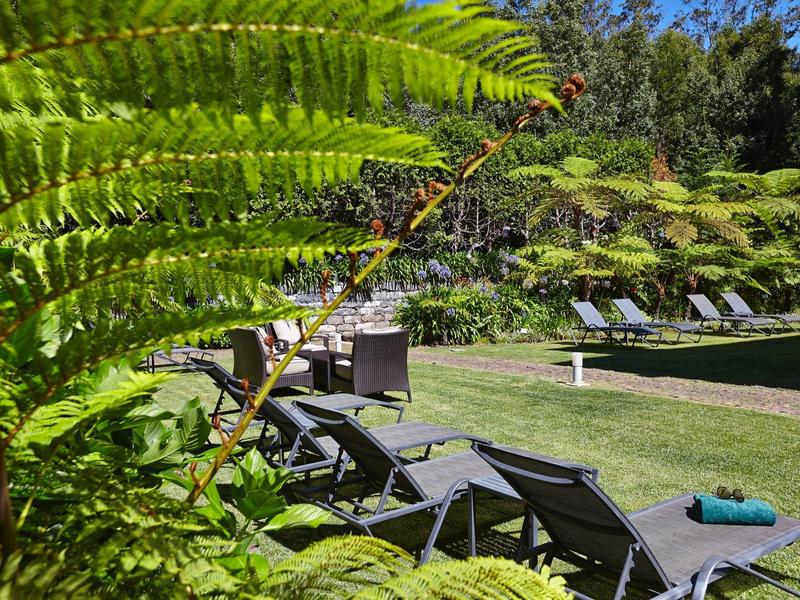 Lettini con asciugamani accanto a una piscina circondata da alberi verdi e felci.
