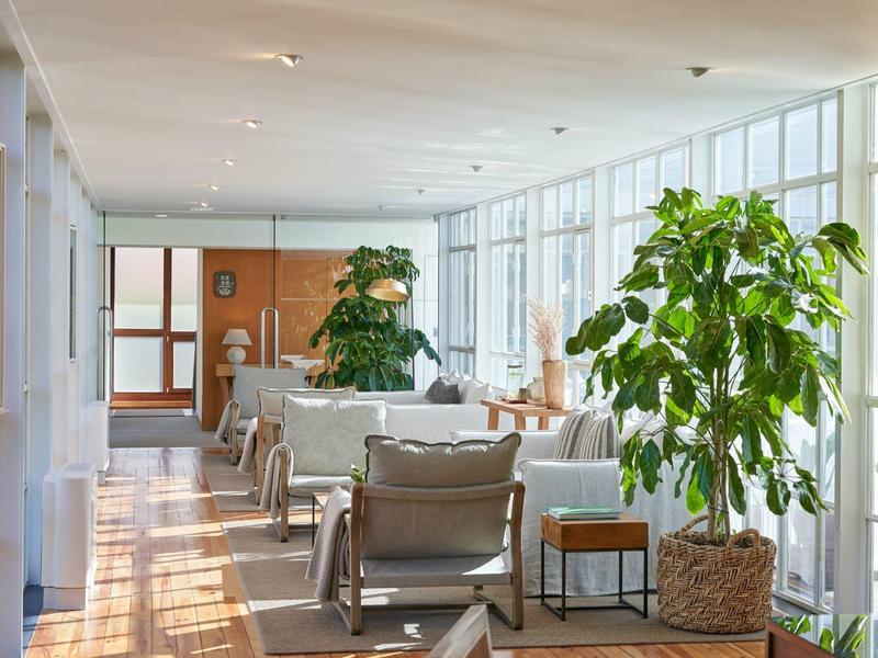 Area lounge dell'hotel luminosa con grandi finestre, pianta e poltrone comode.