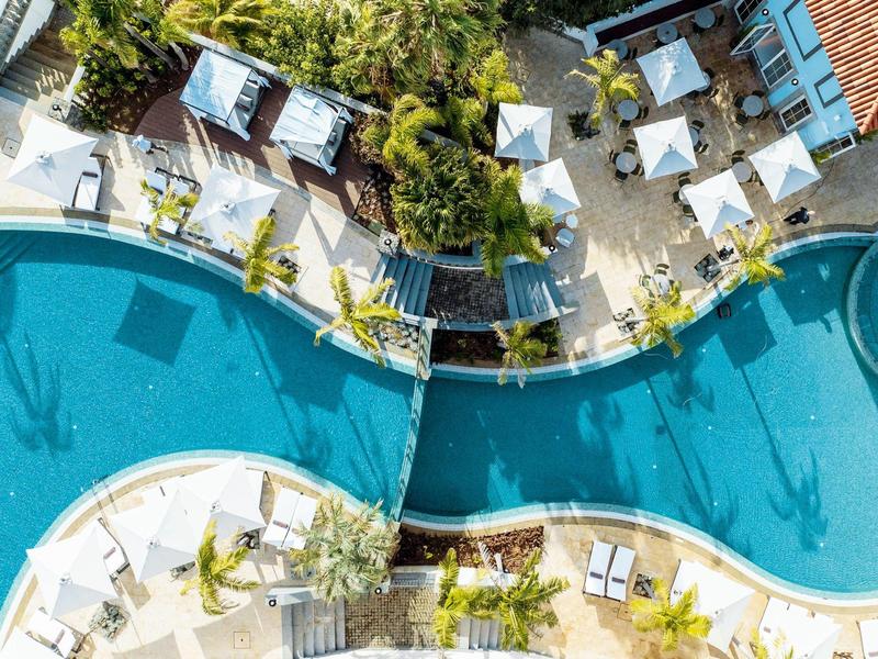 Aerial view of a curved pool with lounge chairs and umbrellas surrounded by plants.