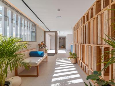 Pasillo luminoso con muebles de madera, plantas y ventana grande que deja pasar la luz solar.