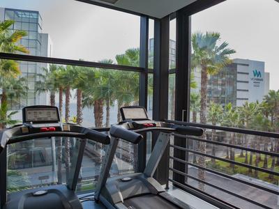 Moderne Fitnessgeräte vor großen Fenstern mit Blick auf Palmen und Hochhäuser bei bewölktem Himmel.