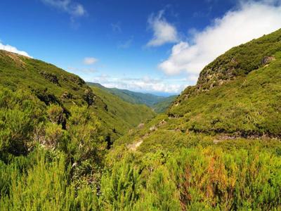 Grünes Tal zwischen bewachsenen Hügeln unter einem blauen Himmel mit Wolken.