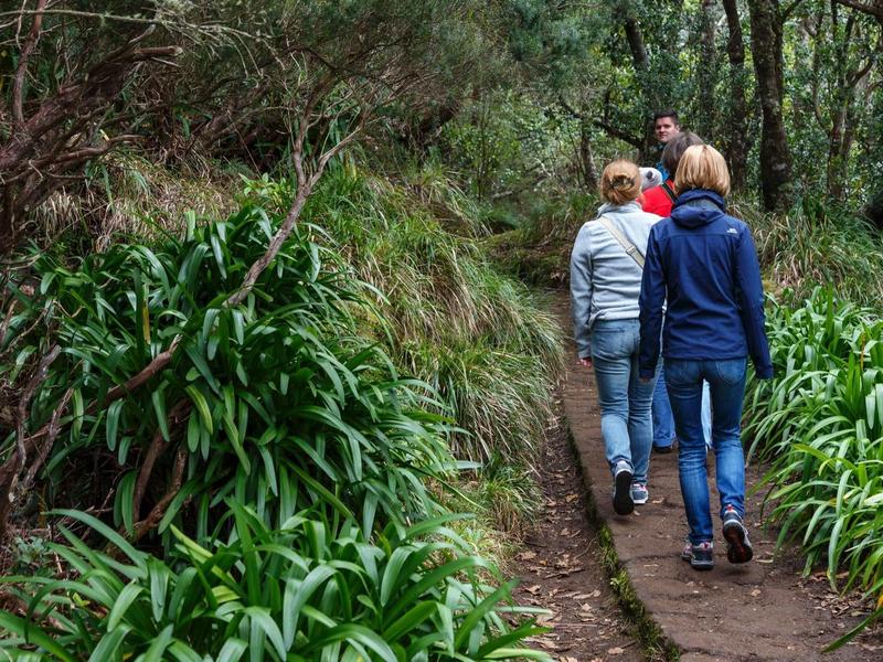 Zwei Personen wandern auf einem schmalen Waldweg, umgeben von grünem Laub und Büschen.