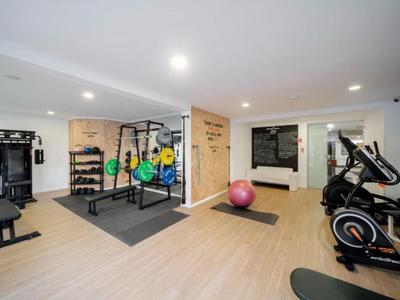 Modern gym room with dumbbells, cardio machines, and exercise ball in bright space.