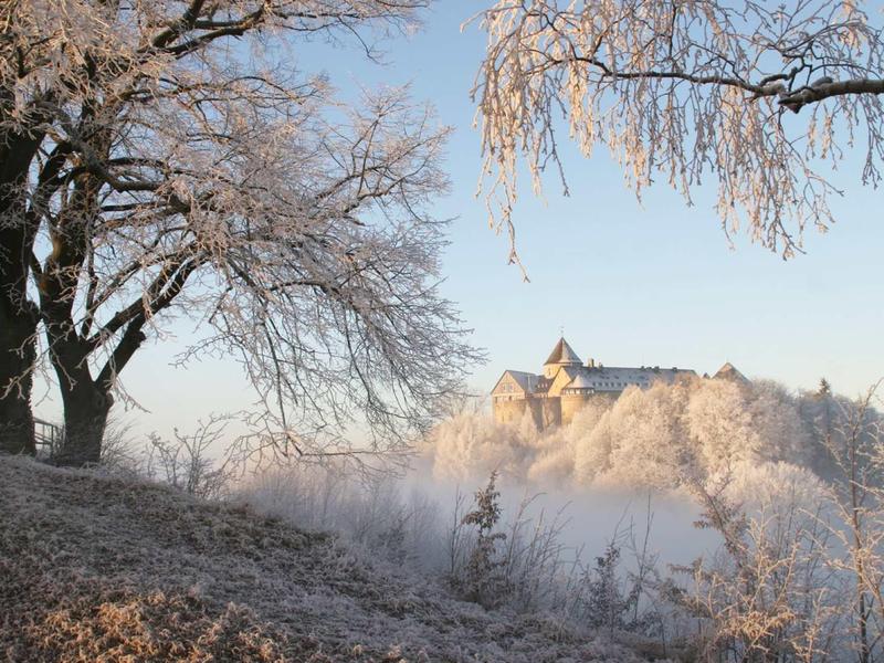 Verschneiter Hügel mit kahlen Bäumen und einem Schloss im nebligen Hintergrund bei klarem Himmel.