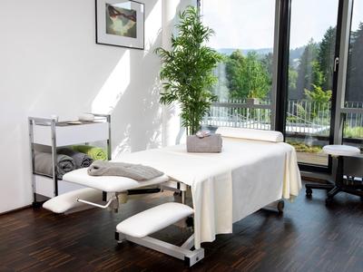 Jasne pomieszczenie spa z łóżkiem do masażu, rośliną i widokiem na zieleń przez duże okna.