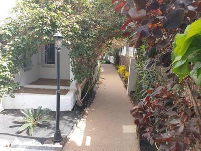 Enger Gehweg zwischen Hausmauern, umgeben von grünen und roten Blättern, mit Laterne am Rand.