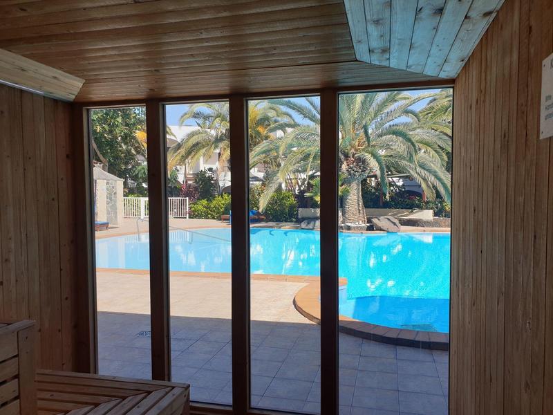 Blick durch Holzfenster auf blauen Pool, Palmen und sonnigen Außenbereich.