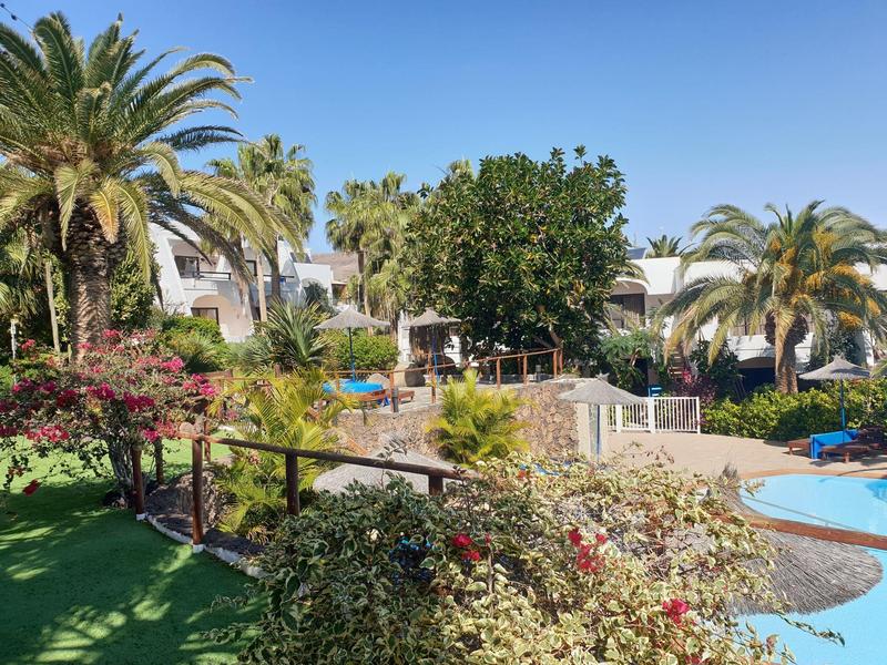 Wohnanlage mit Pool, Palmen, Blumen und grüner Liegewiese unter blauem Himmel.