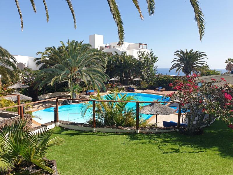 Schwimmbad mit klar blauem Wasser, umgeben von Palmen, grüner Wiese und weißen Gebäuden im Hintergrund.