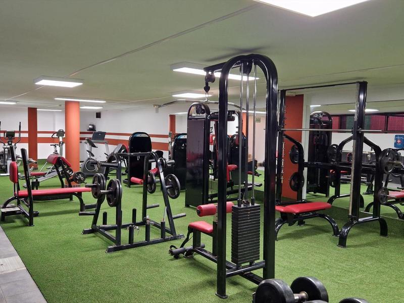 Heller, großer Fitnessraum mit verschiedenen Kraftgeräten und grüner Bodenmatte.