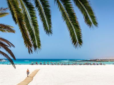 White sandy beach with palm trees, wooden walkway, and blue sea under clear skies.