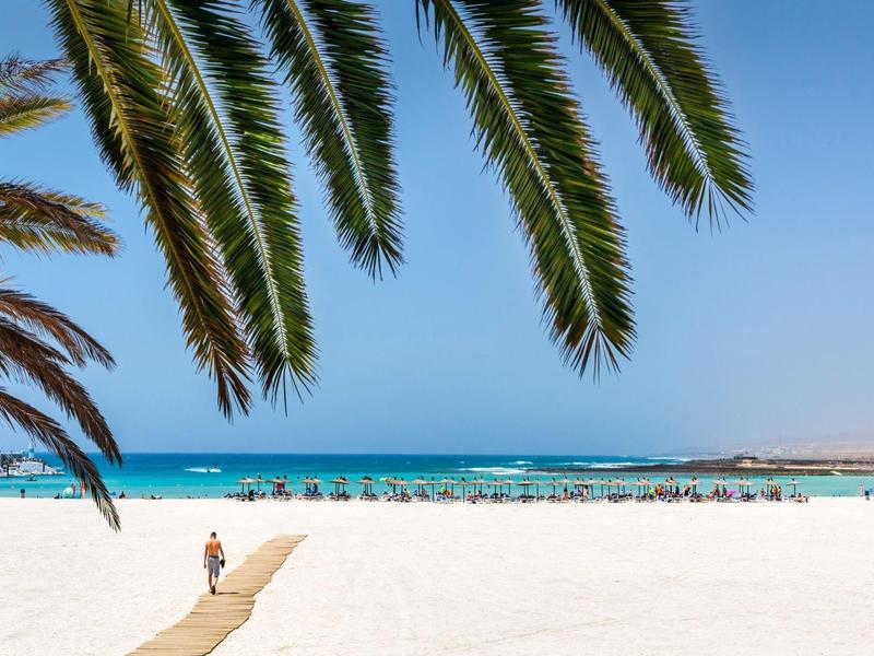 White sandy beach with palm trees, wooden walkway, and blue sea under clear skies.