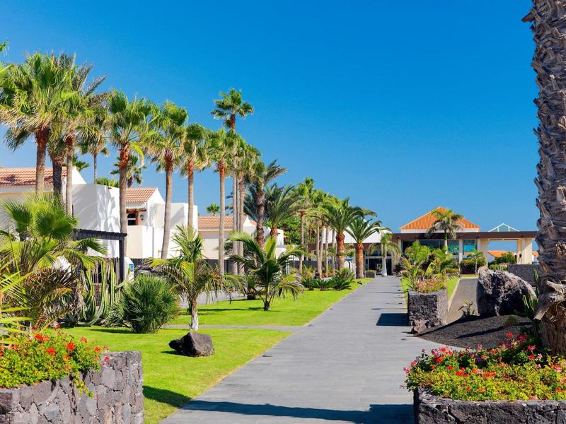 Wide walkway lined with palm trees and greenery leading to buildings under clear sky.