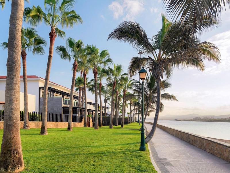 Promenade lined with palm trees along a waterfront beside green grass and buildings.