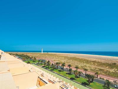 View from hotel overlooking coast with sand dunes, palm trees, and clear blue sky.