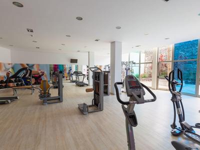 Weitläufiges Fitnessstudio mit heller Holzboden, modernen Geräten und großen Fenstern mit Ausblick.