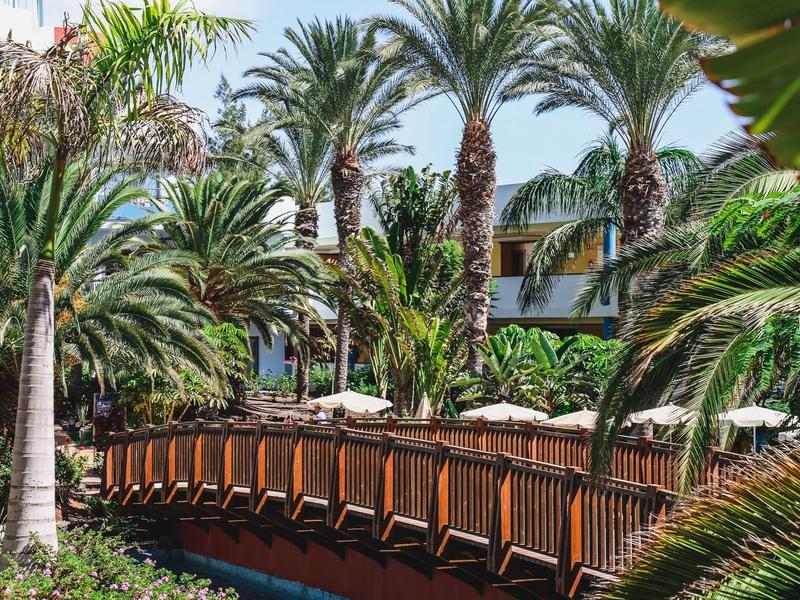 Ponte di legno attraversa un giardino tropicale con palme davanti a un edificio dell'hotel.