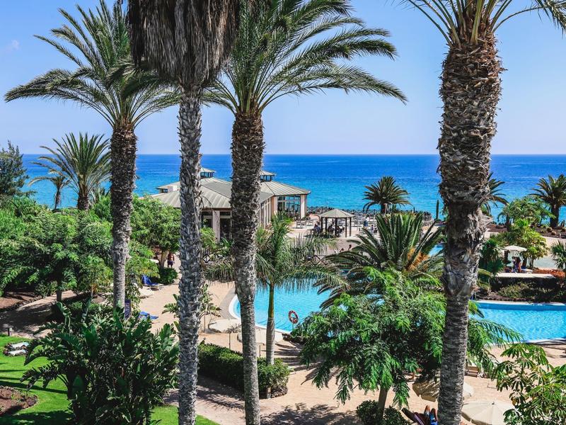 Vista di una piscina dell'hotel con palme e il mare sullo sfondo in una giornata di sole.