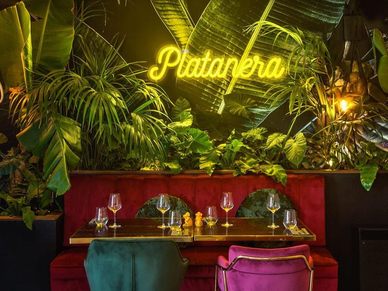 Cozy hotel bar with red bench, colorful chairs, and green plants under yellow neon light.