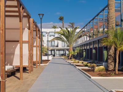 Modern hotel courtyard with palm trees and sun loungers along a gray walkway.