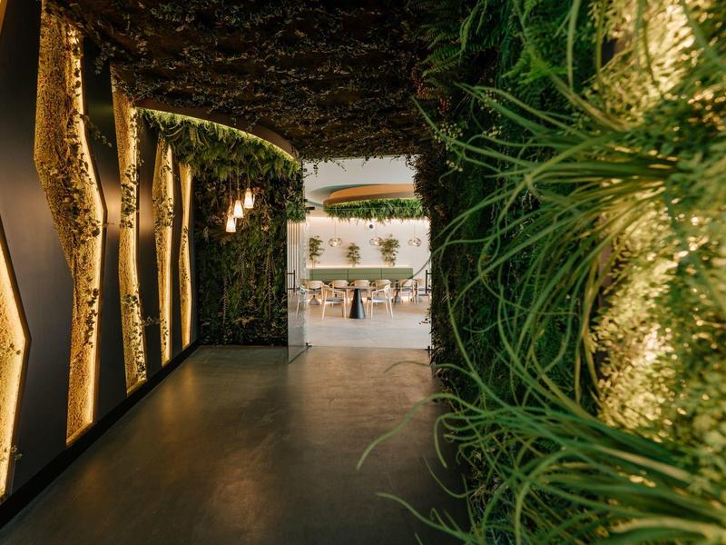 Un corridoio decorativo illuminato con piante e luce calda che conduce a un'area esterna.