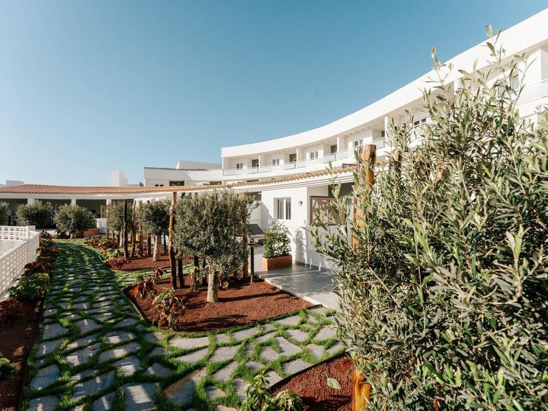Giardino moderno dell'hotel con ulivi e sentiero di pietra verde sotto un cielo limpido.