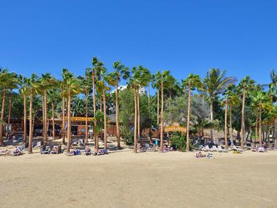Plage avec des palmiers et des chaises longues devant un hôtel sous un ciel bleu.