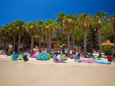 Plage avec de nombreux palmiers, chaises longues et serviettes colorées dans un cadre de vacances ensoleillé.