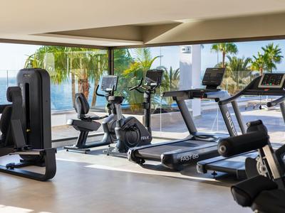 Moderne Fitnessgeräte mit Panoramablick auf Palmen und das Meer in einem hellen Fitnessraum.